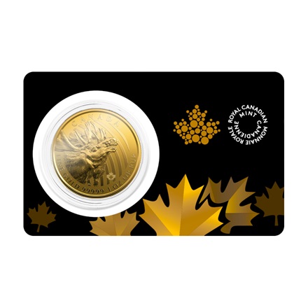 Gold Call of the Wild 1 oz - Elch 2019
