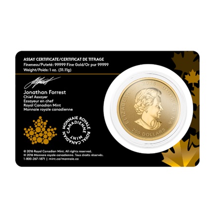 Gold Call of the Wild 1 oz - Grizzly 2016